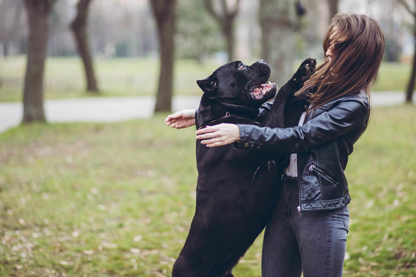 Hund: Manchmal kann die Begrüßung ganz schön stürmisch ausfallen.