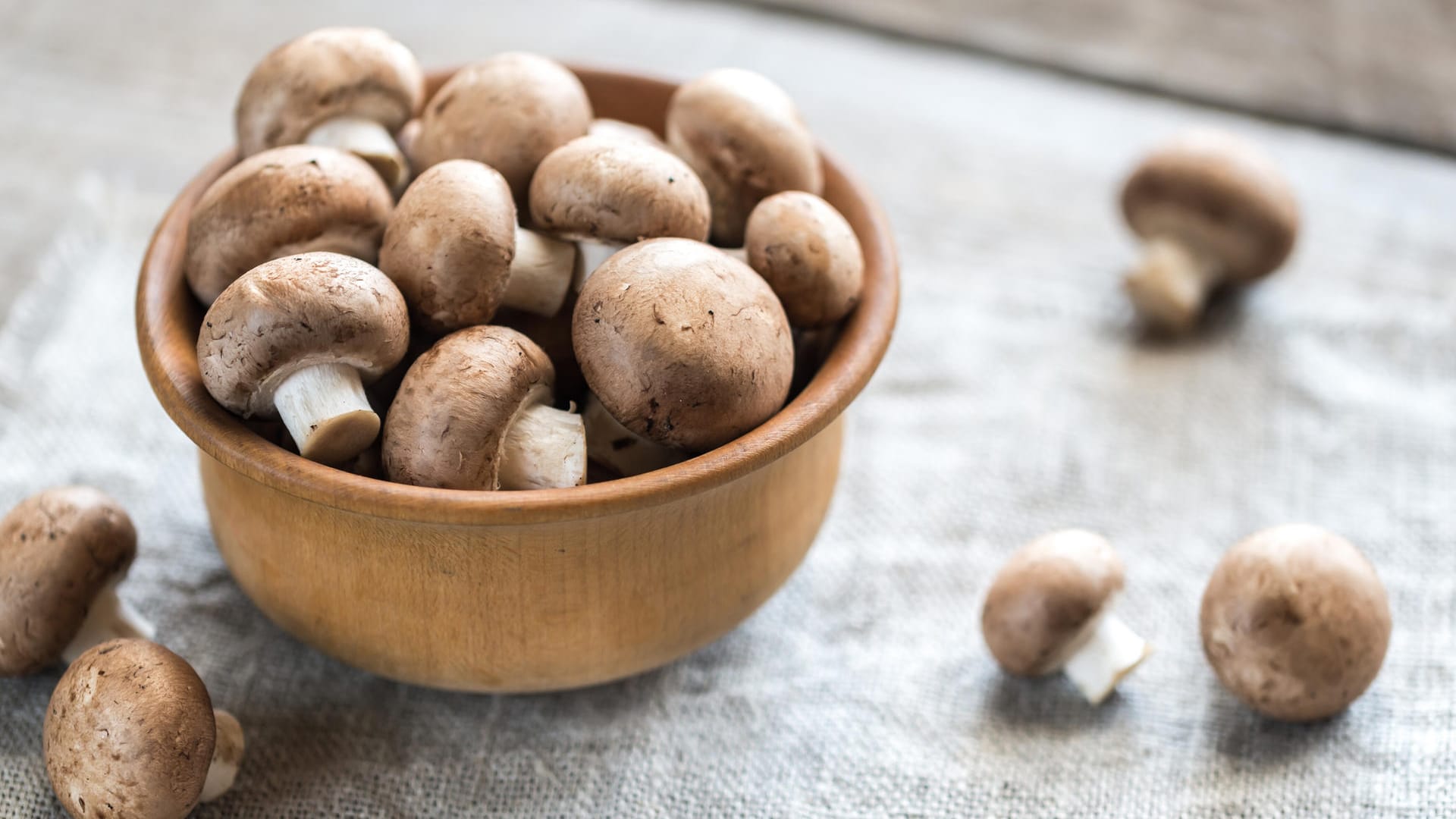 Pilze: Frische Champignons sind so gut wie küchenfertig.