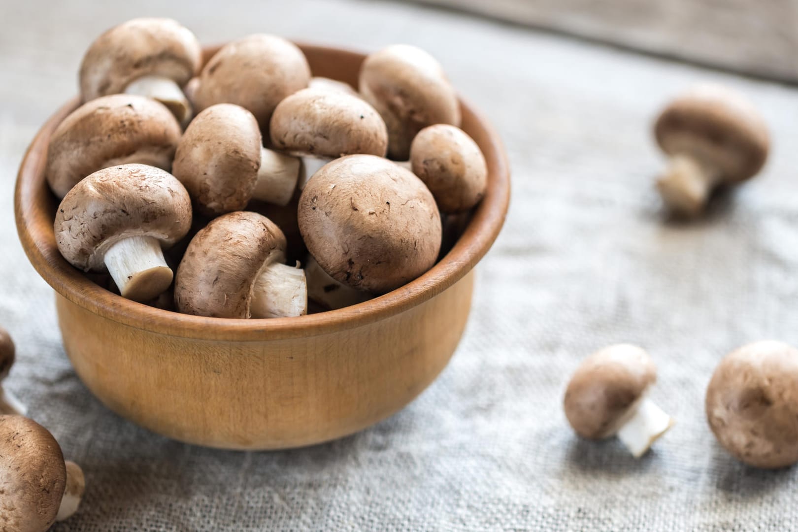 Pilze: Frische Champignons sind so gut wie küchenfertig.