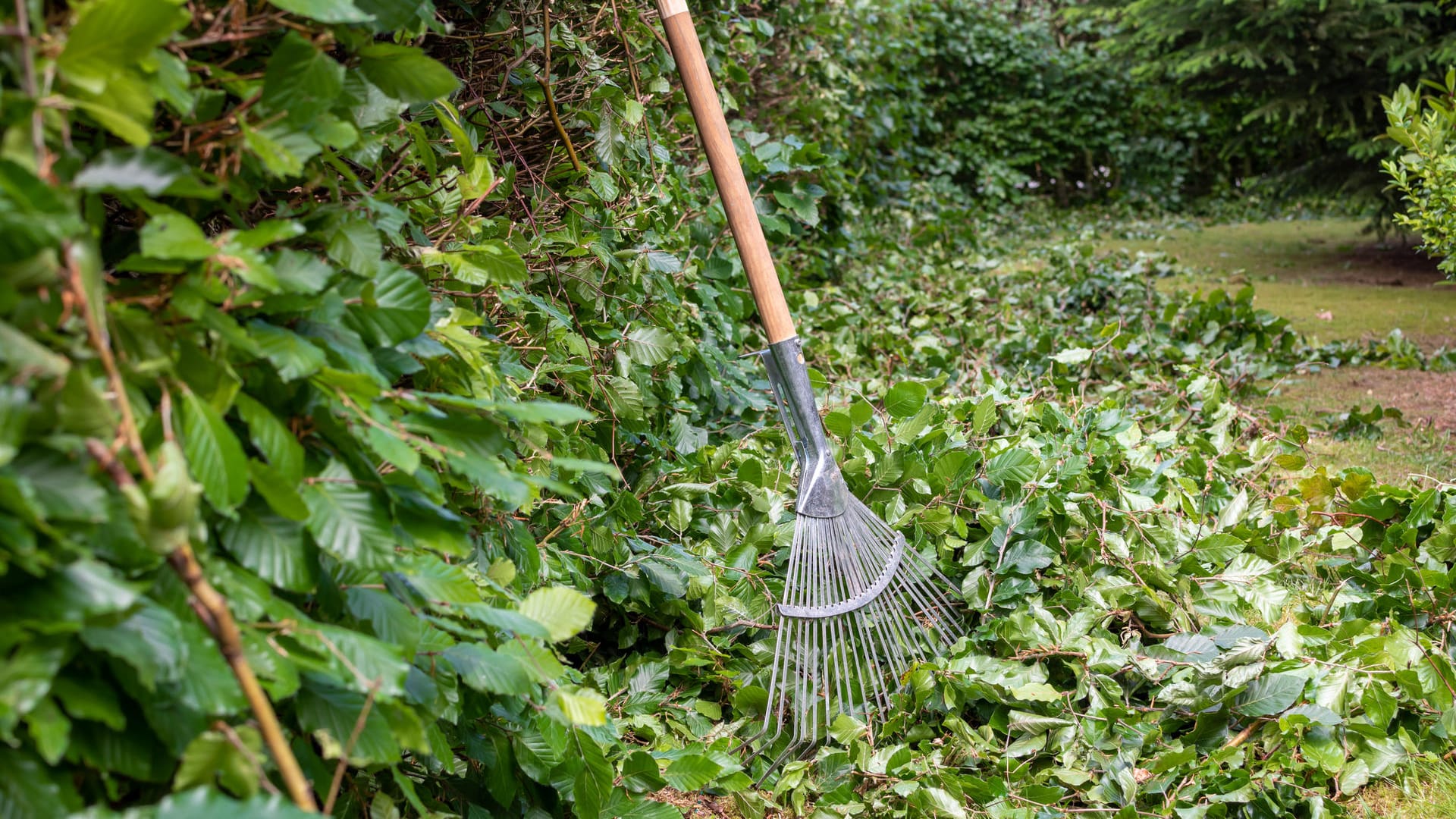 Das sind die besten Rechen für die Gartenarbeit im Frühling.