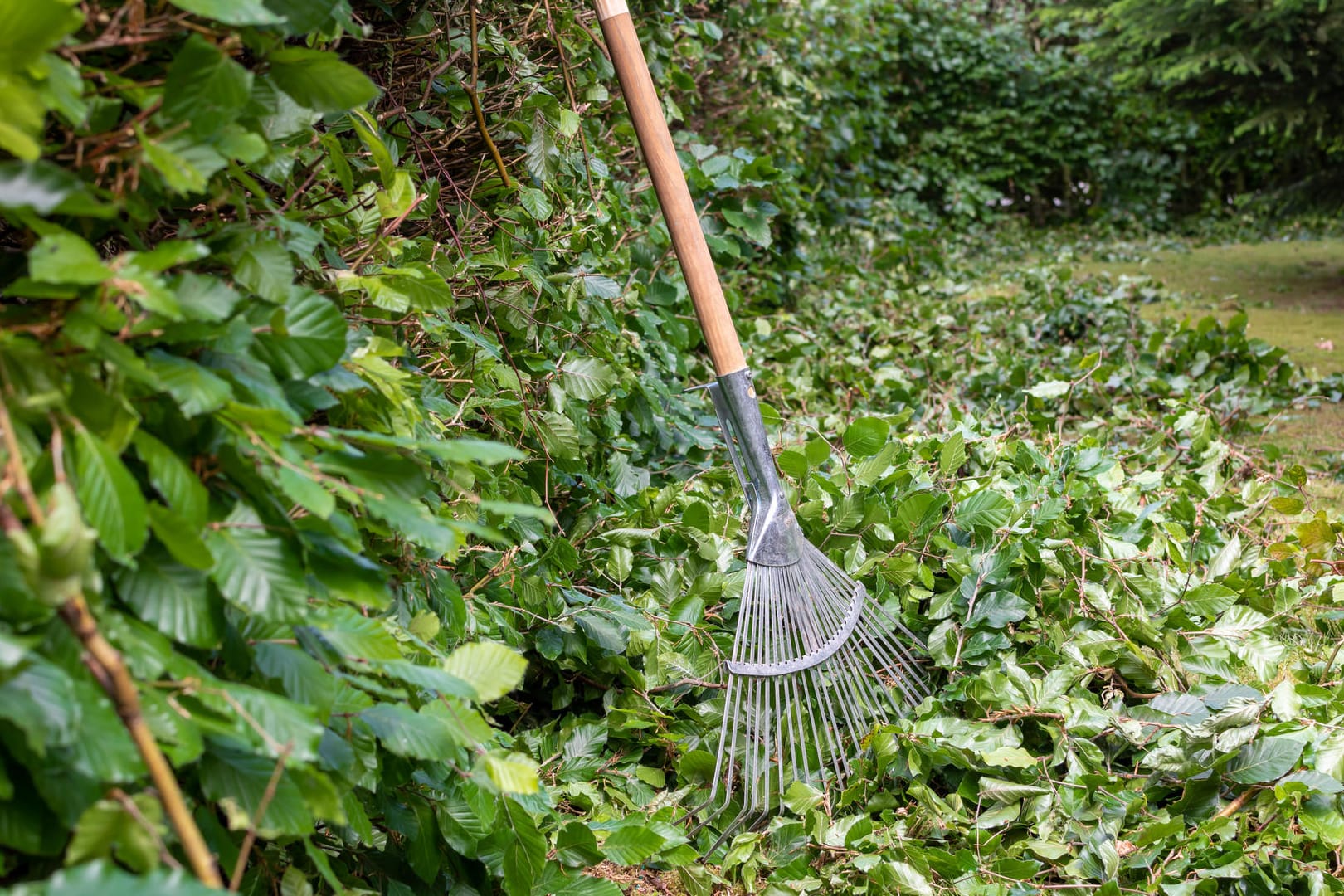 Das sind die besten Rechen für die Gartenarbeit im Frühling.