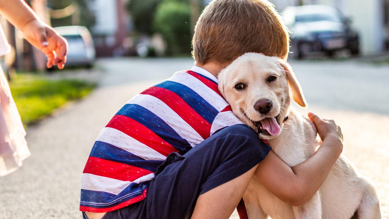 Hund: Vor der Anschaffung sollte geklärt sein, wer sich wann um das Tier kümmert.