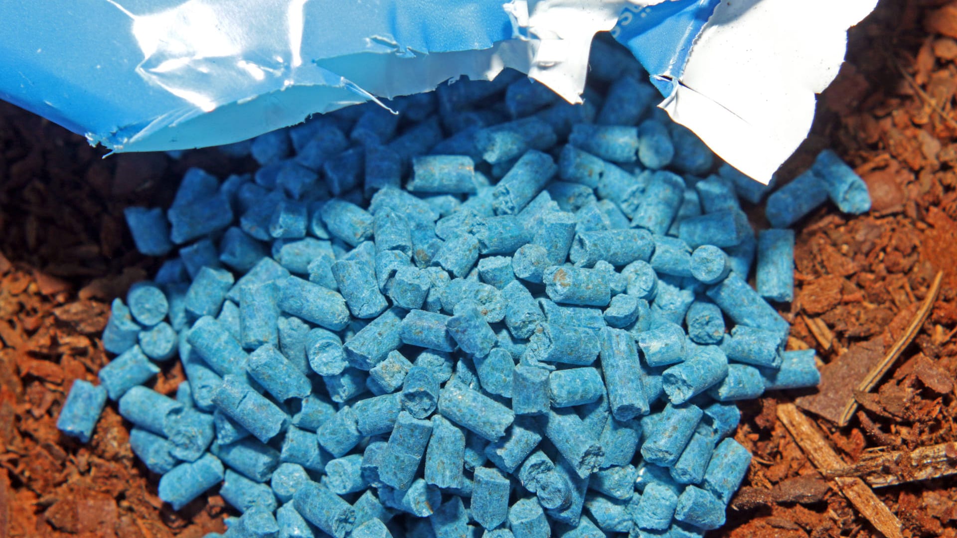 Schneckenbekämpfung: Schneckenkorn in blauer Farbe kann von Kindern mit Bonbons verwechselt werden.