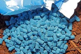 Schneckenbekämpfung: Schneckenkorn in blauer Farbe kann von Kindern mit Bonbons verwechselt werden.