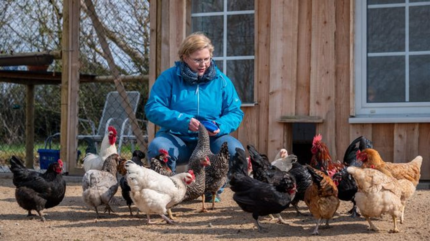 Karin Jaskowsky füttert im Gehege einen Teil der Dorfhühner.