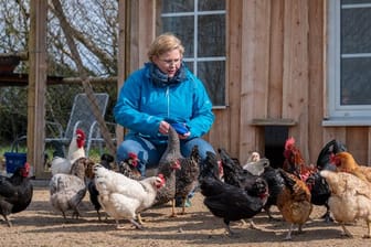 Karin Jaskowsky füttert im Gehege einen Teil der Dorfhühner.