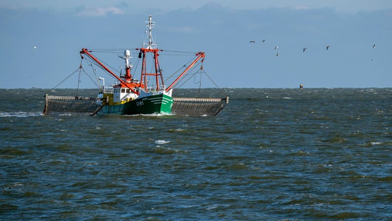Fischkutter in der Nordsee: Laut Studie könnten gebietsfremde Parasiten auch "katastrophale Einbrüche in der kommerziellen Fischerei verursachen".