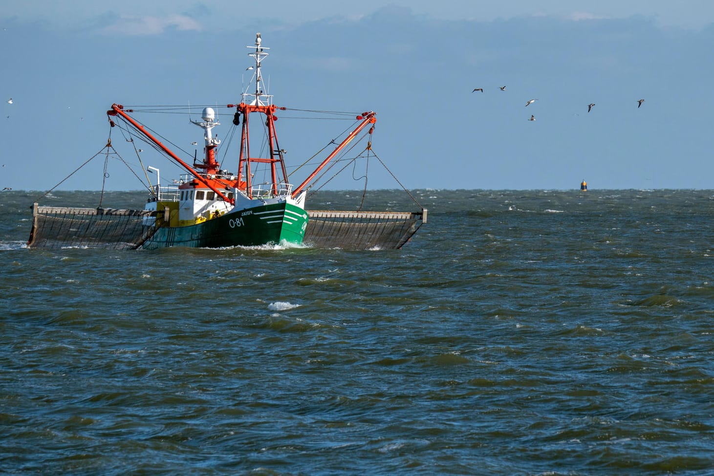 Fischkutter in der Nordsee: Laut Studie könnten gebietsfremde Parasiten auch "katastrophale Einbrüche in der kommerziellen Fischerei verursachen".