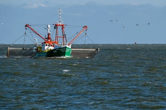 Fischkutter in der Nordsee: Laut Studie könnten gebietsfremde Parasiten auch "katastrophale Einbrüche in der kommerziellen Fischerei verursachen".