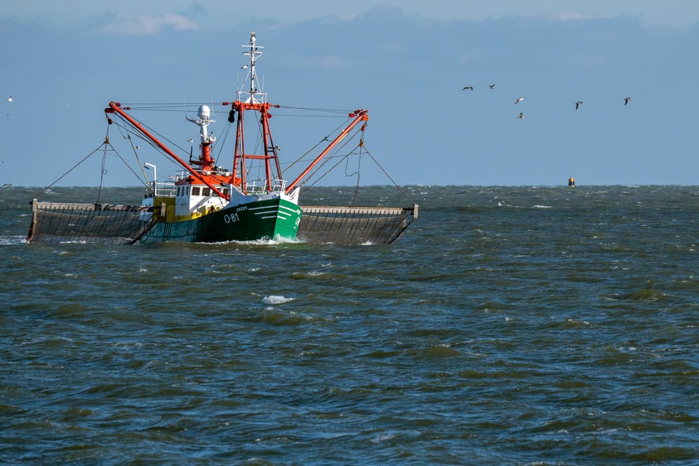 Fischkutter in der Nordsee: Laut Studie könnten gebietsfremde Parasiten auch "katastrophale Einbrüche in der kommerziellen Fischerei verursachen".
