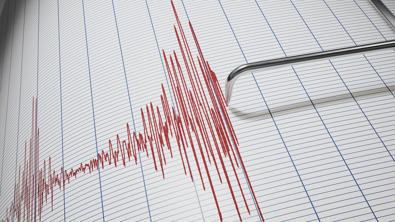 Ein Seismograph nimmt ein Erdbeben wahr (Archivbild): Am Dienstag um 0.57 Uhr soll nahe der österreichischen Stadt Neunkirchen die Erde gebebt haben.