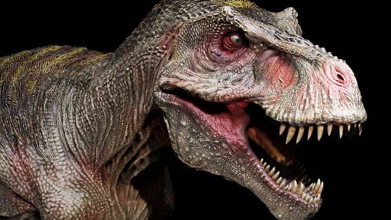 Tyrannosaurus rex (Symbolbild): Der Dinosaurier war kein schneller Läufer.