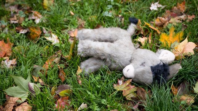Die Mutter der Schülerin soll von vielen Übergriffen ihres Partners gewusst und diese toleriert haben. Die Mutter der Schülerin soll von vielen Übergriffen ihres Partners gewusst und diese toleriert haben.