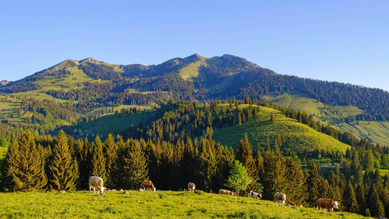 Gebirge in Oberbayern: In der Gemeinde Oberaudorf kehrte ein 66-Jähriger nicht mehr lebend von einer Gipfelwanderung zurück.