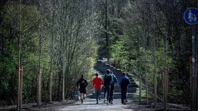 Eine Gruppe Jugendlicher beim Joggen in einem Wald.