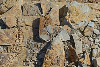 ca. 300 MillionenFossilien in Afrika: Die "wertvollen" Fossilien werden nun im Naturkundemuseum in Zagreb verwahrt (Symbolbild).Jahre alte Fossilien des Mesosaurus tenuidens bei Keetmanshoop, Namibia, Afrika mcpins *** ca 300 mill