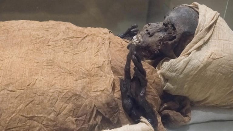 Eine Mumie in Ägypten (Symbolbild): Forscher in Polen entdeckten einen Fötus im Bauch einer ägyptischen Mumie.
