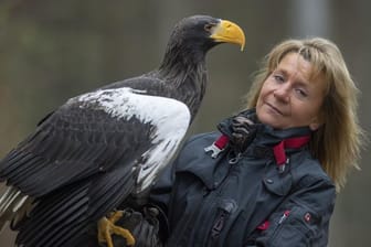 Riesenseeadler Grobi mit Falknerin Carola Schossow: Offenbar erlaubten günstige Winde den weiten Flug bis nach Ungarn.