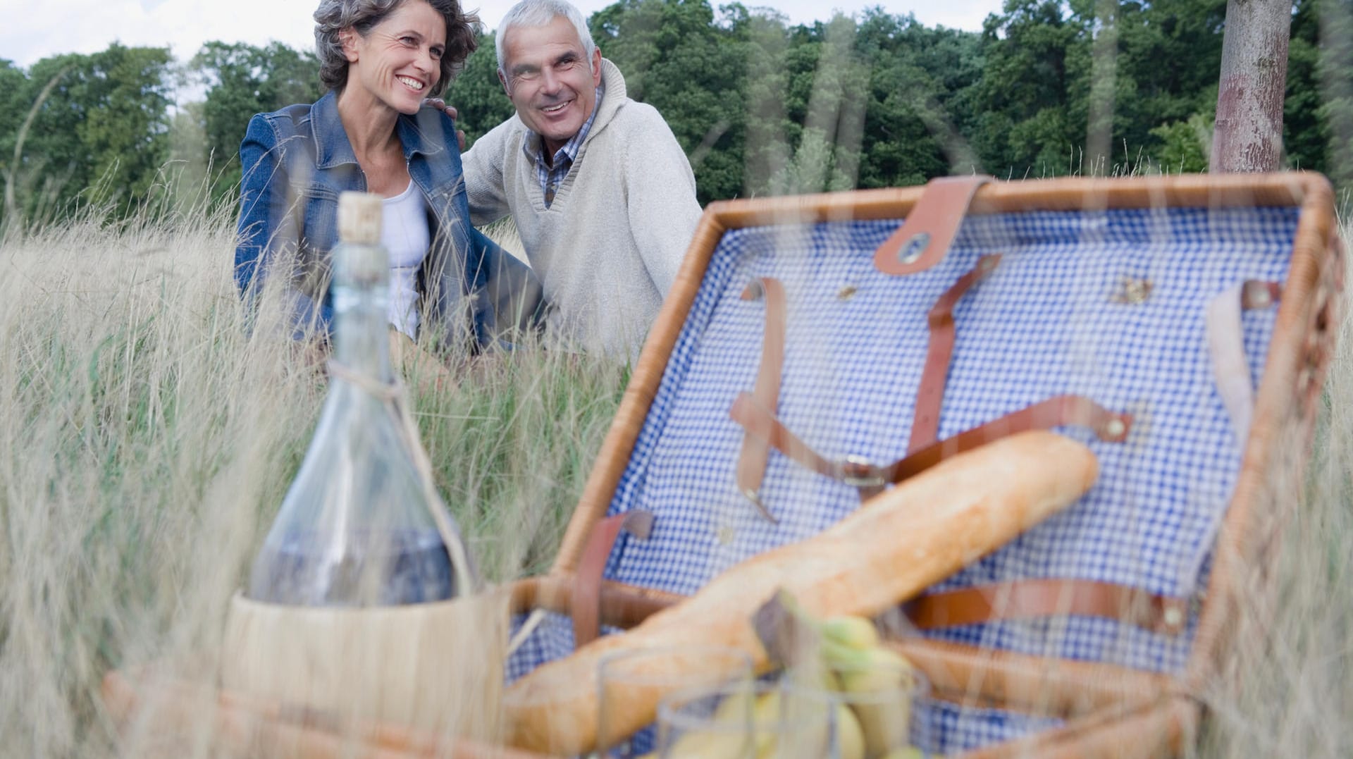 Mit diesen Picknickkörben sind Sie für jeden Ausflug bestens ausgestattet.