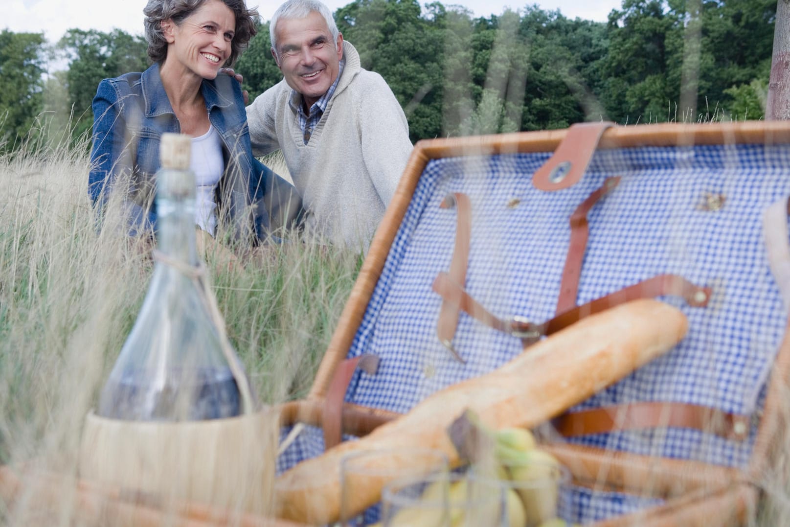 Mit diesen Picknickkörben sind Sie für jeden Ausflug bestens ausgestattet.