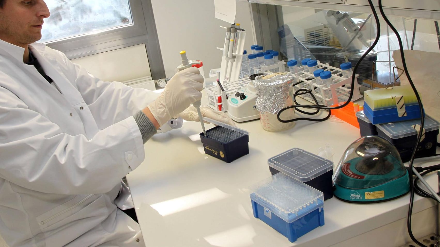 Molekularbiologisches Labor der Unimedizin Mainz: Forscher wollen neuartige Mittel gegen Krebs entwickeln. Molekularbiologisches Labor der Unimedizin Mainz: Forscher wollen neuartige Mittel gegen Krebs entwickeln.