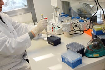 Molekularbiologisches Labor der Unimedizin Mainz: Forscher wollen neuartige Mittel gegen Krebs entwickeln.