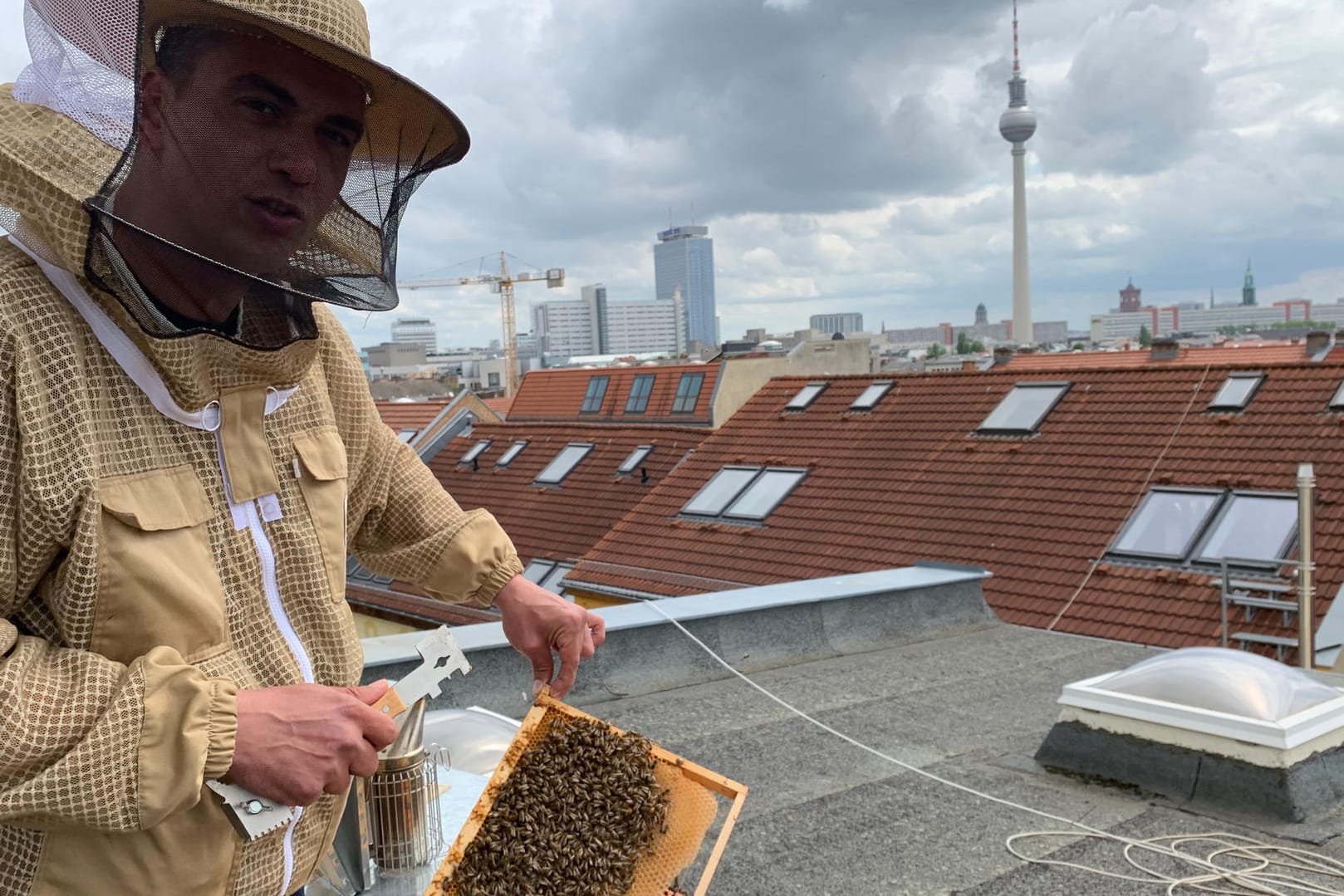 Der Kiez-Imker zeigt seine Bienen auf den Dächern Berlins: In den Sommermonaten pflegt er 400.000 der Insekten.