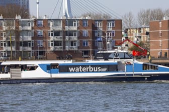 Ein Wasserbus auf dem Fluss Neue Maas in Rotterdam (Archivbild): In den Niederlanden ist öffentlicher Personennahverkehr auf dem Wasser bereits Normalität.