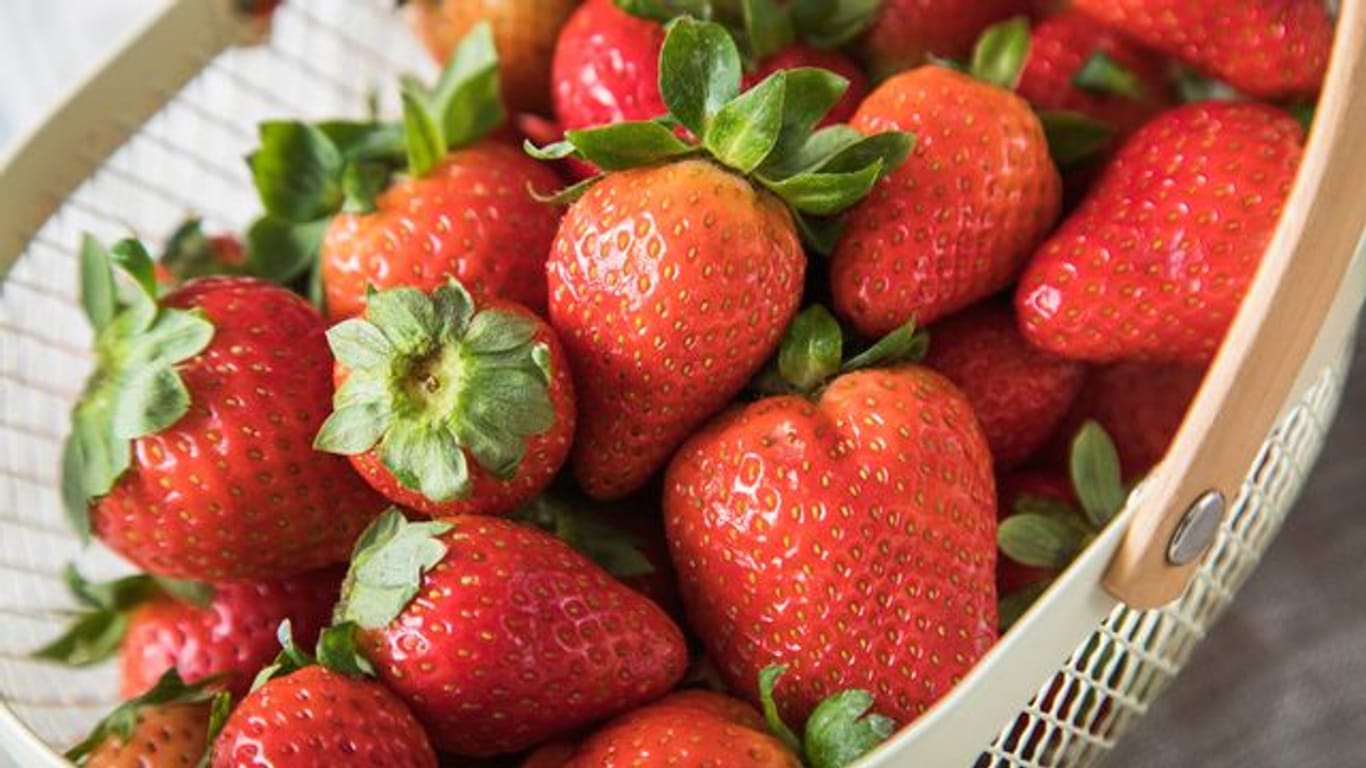 Erdbeeren: Für Kuchen sollten sie möglichst erntefrisch sein. Länger als einen Tag im Kühlschrank aufbewahrt, verlieren die Früchte nicht nur an Vitamin C, sondern auch an Geschmack.