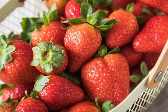 Erdbeeren: Für Kuchen sollten sie möglichst erntefrisch sein. Länger als einen Tag im Kühlschrank aufbewahrt, verlieren die Früchte nicht nur an Vitamin C, sondern auch an Geschmack.