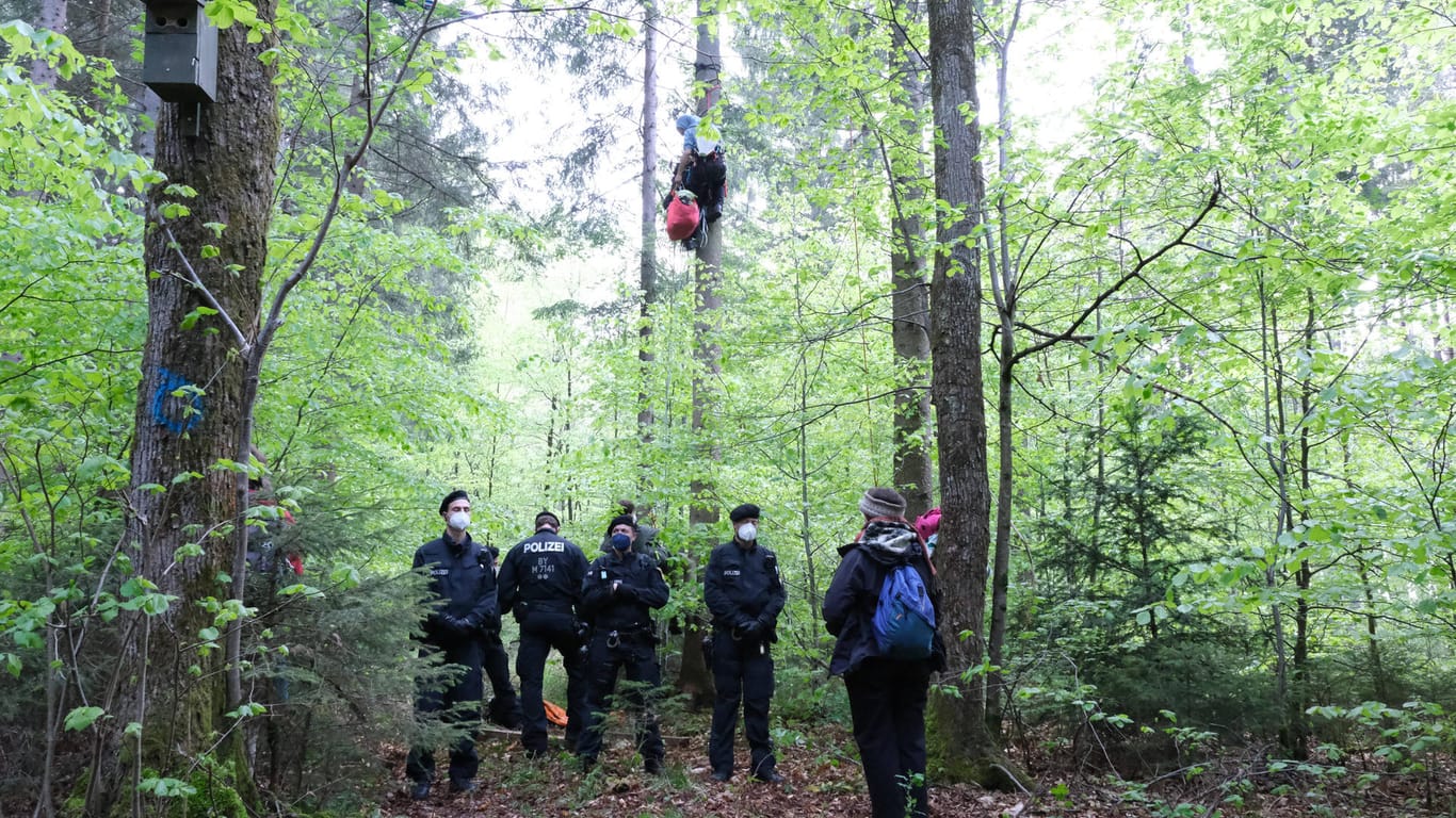 Ein Aktivist hängt in einem Baum: Der Plan Baumhäuser zu bauen und auf die Bäume zu klettern wurde von der Polizei unterbunden, jedoch dürfen die Waldschützer unter Auflagen bis Donnerstag vor Ort bleiben.