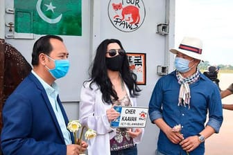 Cher (M), Sängerin aus den USA, wartet mit Begrüßungsschild auf den Elefanten Kaavan, der auf dem internationalen Flughafen Siem Reap (Kambodscha) eintrifft (2020).