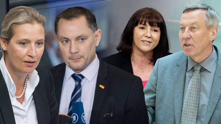 Macht- und Lagerkampf bei der Aufstellung für den Bundestag in der AfD: Alice Weidel und Tino Chrupalla (links) gelten als "Scharfmacher" und flügelnah, Joana Cotar und Joachim Wundrak werden vom eher gemäßigten Meuthen unterstützt.