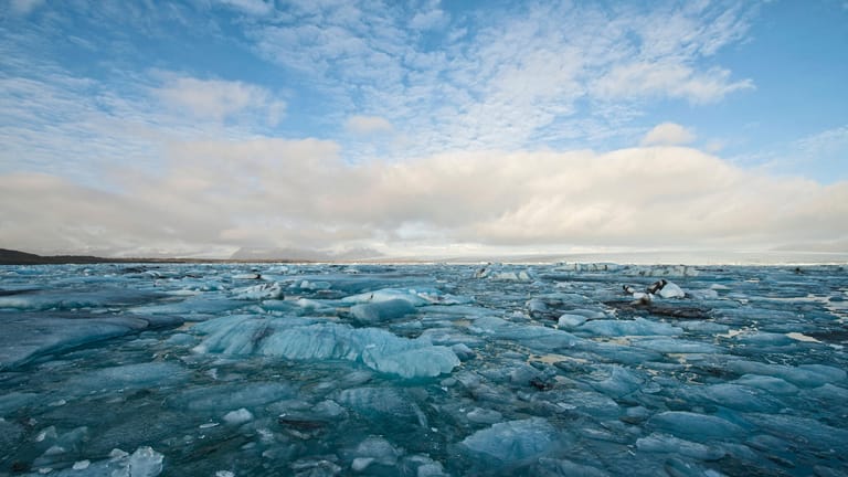 Gletscher in der Antarktis: Der Klimawandel lässt die Eiswüste immer zugänglicher werden.
