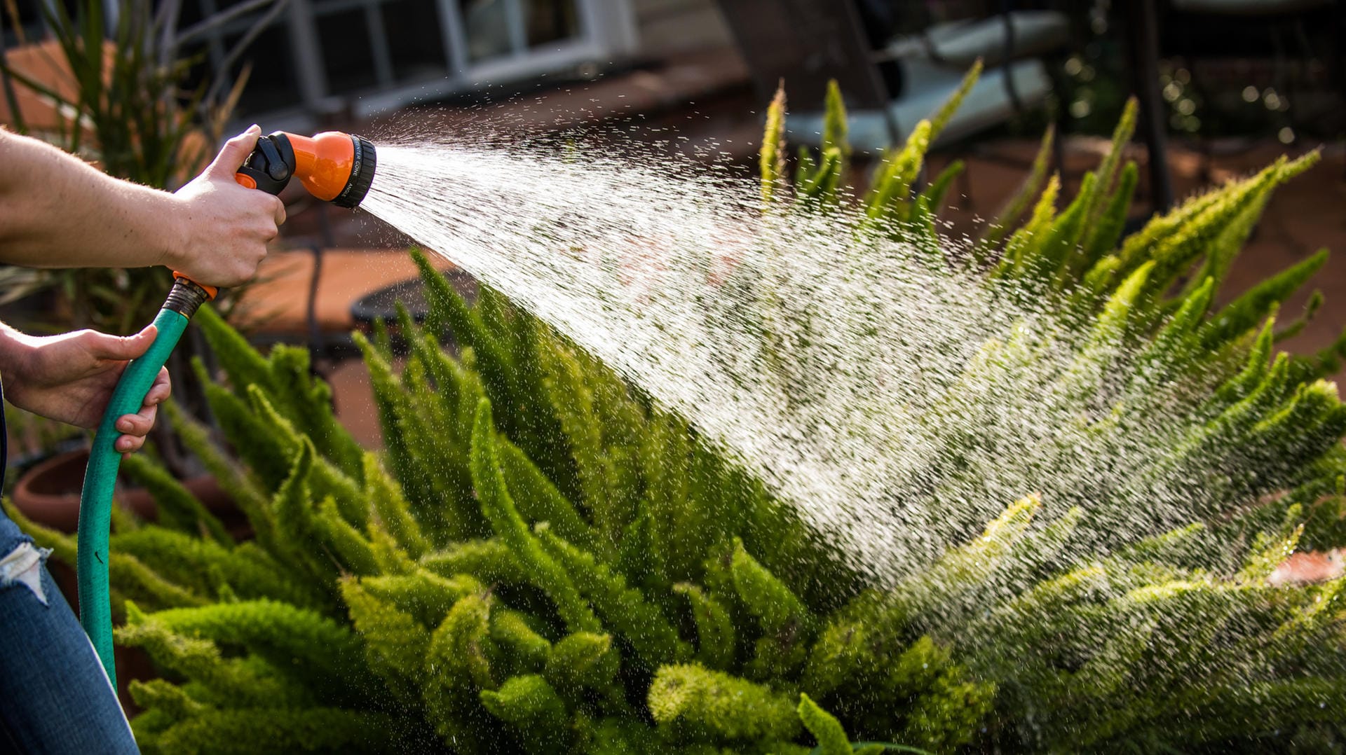 Gartenbrausen im Test: Neben den bekannten Marken sind auch günstige Brausen zu empfehlen.