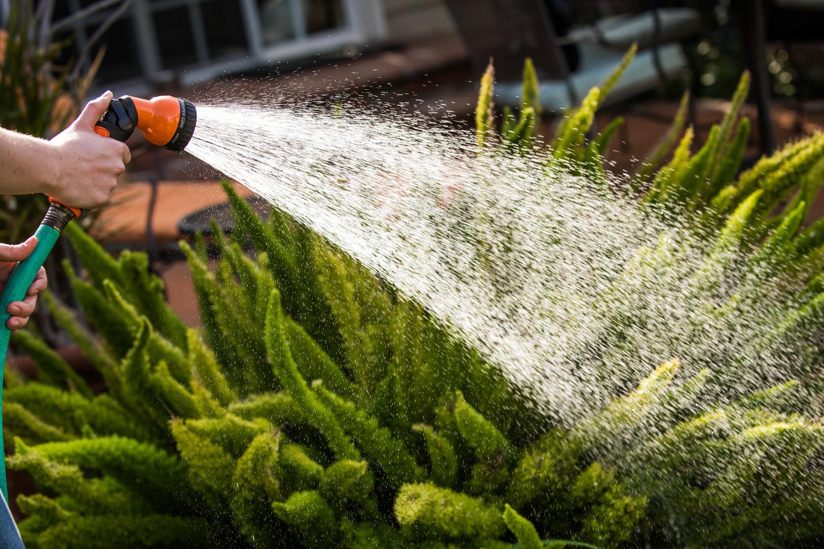 Gartenbrausen im Test: Neben den bekannten Marken sind auch günstige Brausen zu empfehlen.