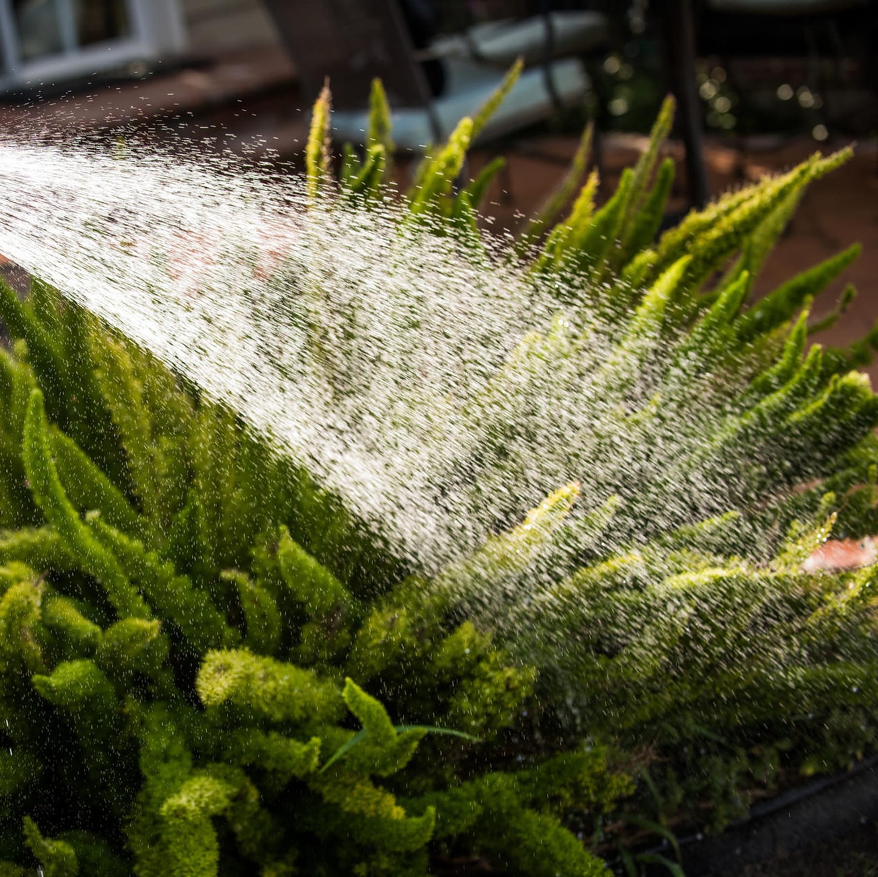 Tränken und Spülen des Bodens Garten Handbrause Hochdruck Handsprüher Gartenbrause Bewässerungsbrause mit 7 Sprühbilder für Autowaschen
