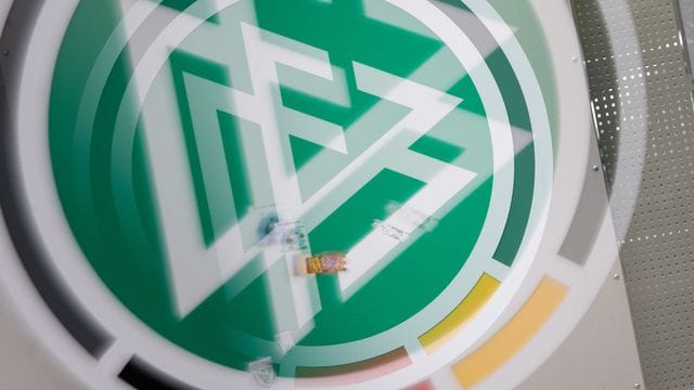 Die DFB-Übergangsführung hat sich über den Fahrplan bis zu den Neuwahlen Anfang 2022 verständigt. Die DFB-Übergangsführung hat sich über den Fahrplan bis zu den Neuwahlen Anfang 2022 verständigt.