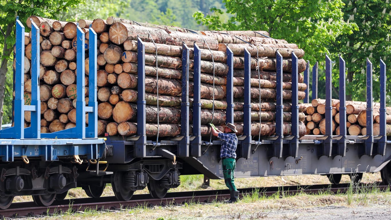 Ein Mann sichert verladene Baumstämme auf einem Güterzug (Symbolbild): Wegen der hohen Nachfrage nach Schnittholz können sich Deutschlands Sägewerke vor Aufträgen kaum retten.
