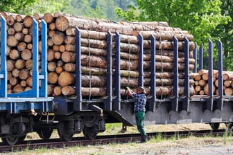 Ein Mann sichert verladene Baumstämme auf einem Güterzug (Symbolbild): Wegen der hohen Nachfrage nach Schnittholz können sich Deutschlands Sägewerke vor Aufträgen kaum retten.