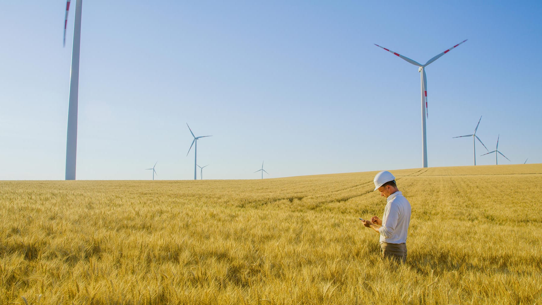 Windräder in einem Kornfeld (Symbolbild): Nachhaltige Geldanlagen sind in Deutschland noch wenig verbreitet.