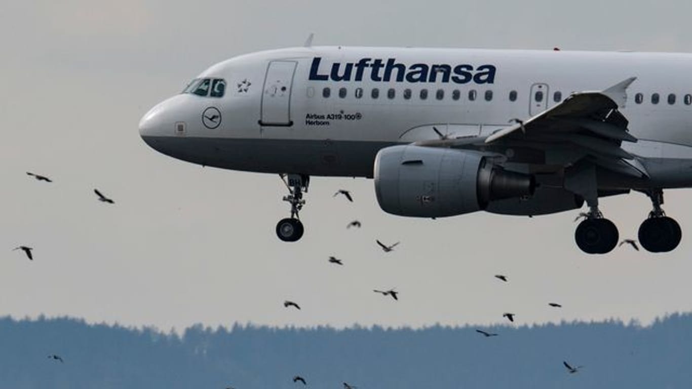 Eine Passagiermaschine der Lufthansa landet auf einem Flughafen