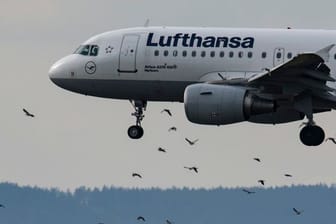 Eine Passagiermaschine der Lufthansa landet auf einem Flughafen