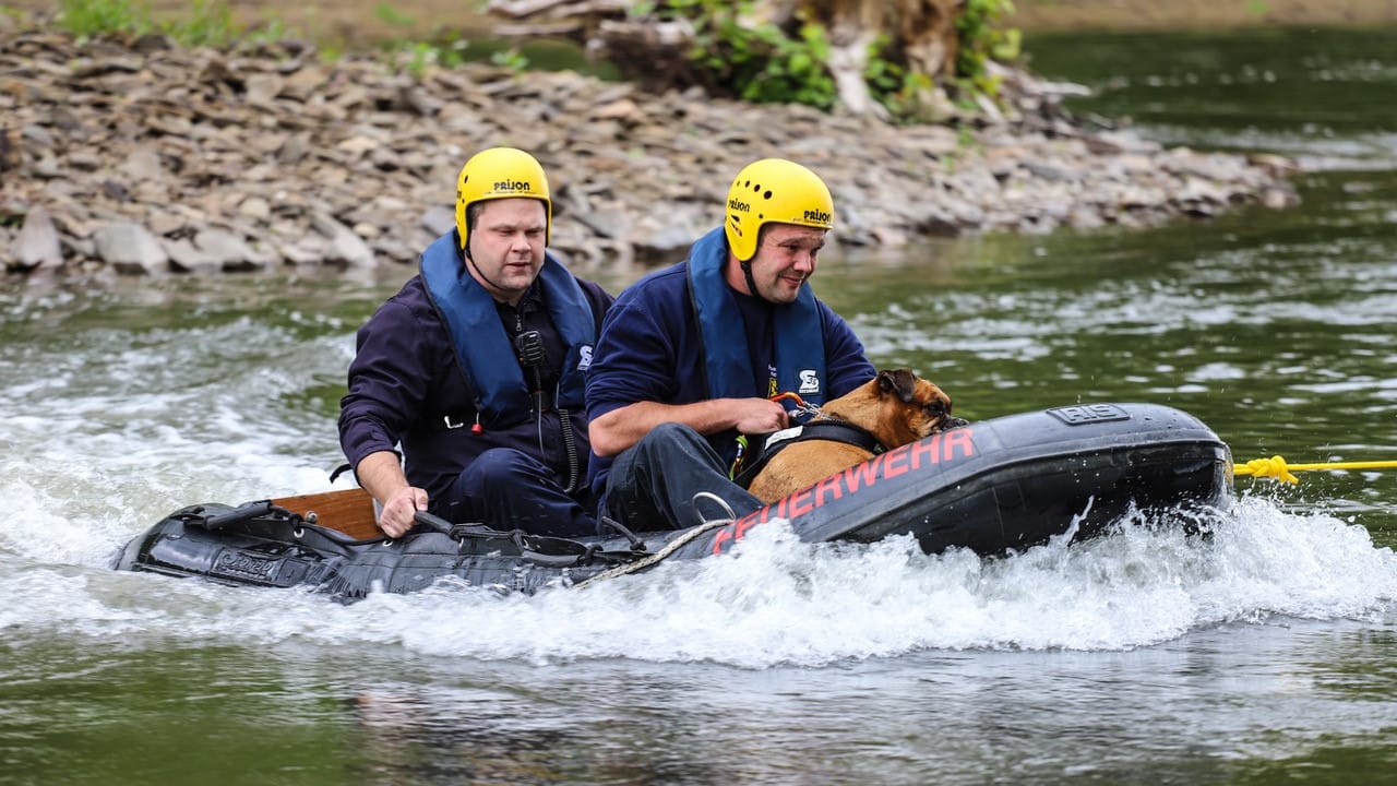 Strömungsretter eilen dem Hund zur Hilfe: "Inka" konnte sich auf eine Insel retten.