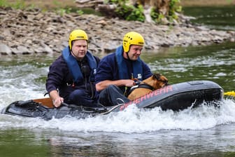 Strömungsretter eilen dem Hund zur Hilfe: "Inka" konnte sich auf eine Insel retten.