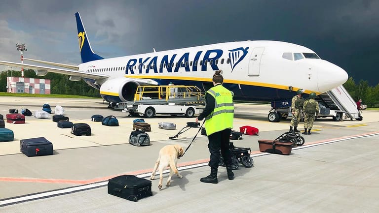 Minsk: Eine Sicherheitskraft Spürhund inspiziert mit einem Spürhund das Gepäck eines Ryanair-Flugzeuges. Belarussische Behörden hatten das Flugzeug auf dem Weg von Athen nach Vilnius zur Landung gebracht.