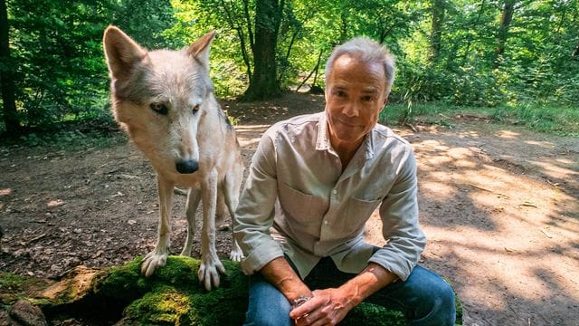 Hannes Jaenicke im Wolfforschungszentrum in Österreich.