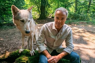 Hannes Jaenicke im Wolfforschungszentrum in Österreich.