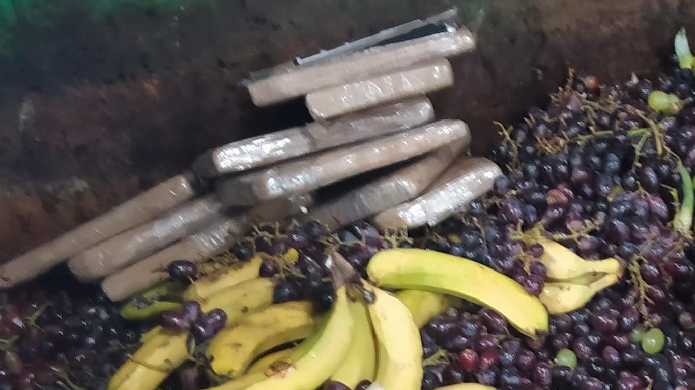 Das Kokain liegt neben Bananen im Biomüll: So haben die Mitarbeiter die Drogen gefunden.