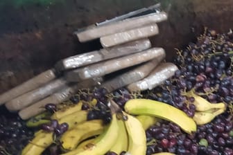 Das Kokain liegt neben Bananen im Biomüll: So haben die Mitarbeiter die Drogen gefunden.